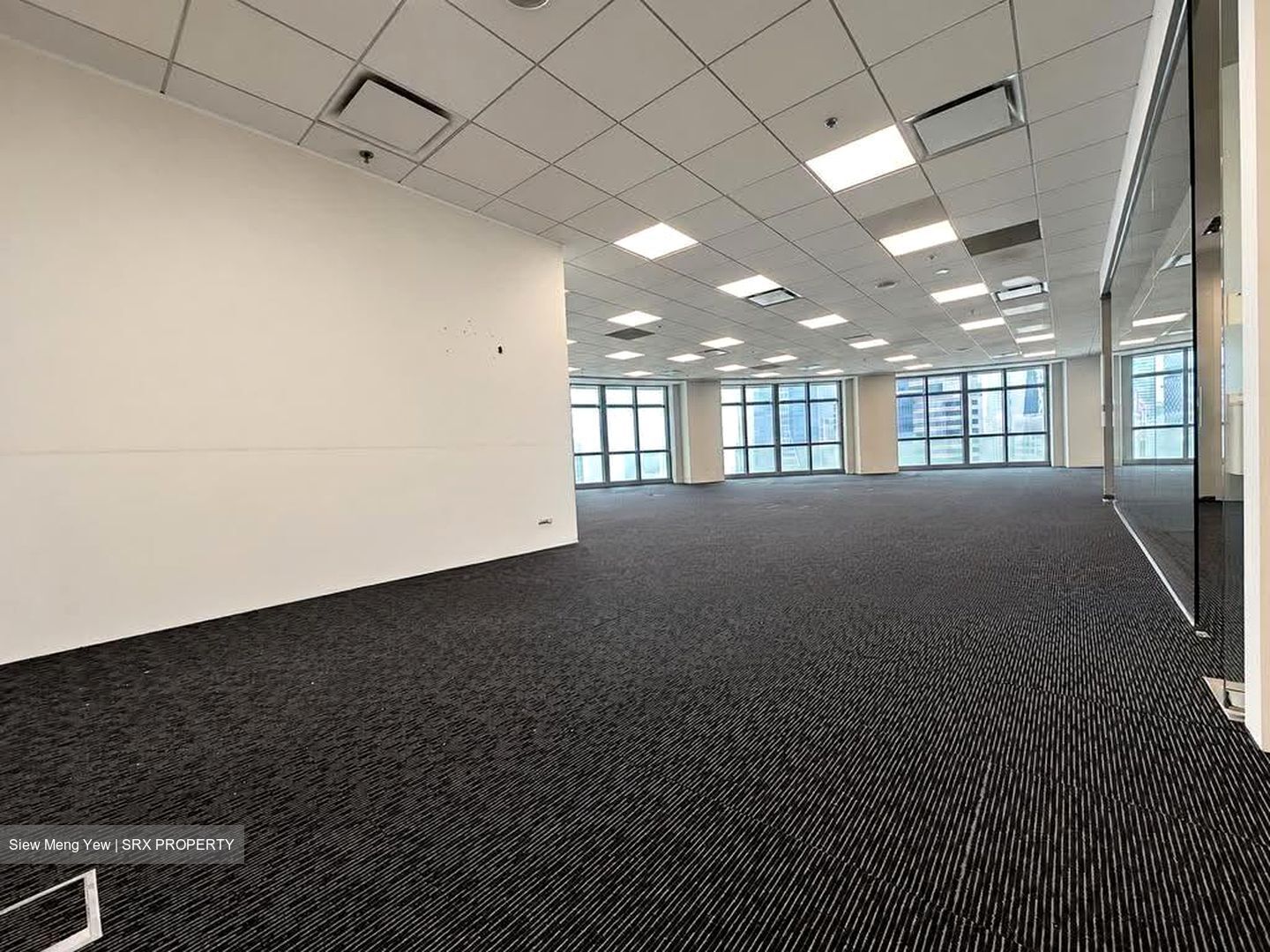 Springleaf Tower (D2), Office #627360531